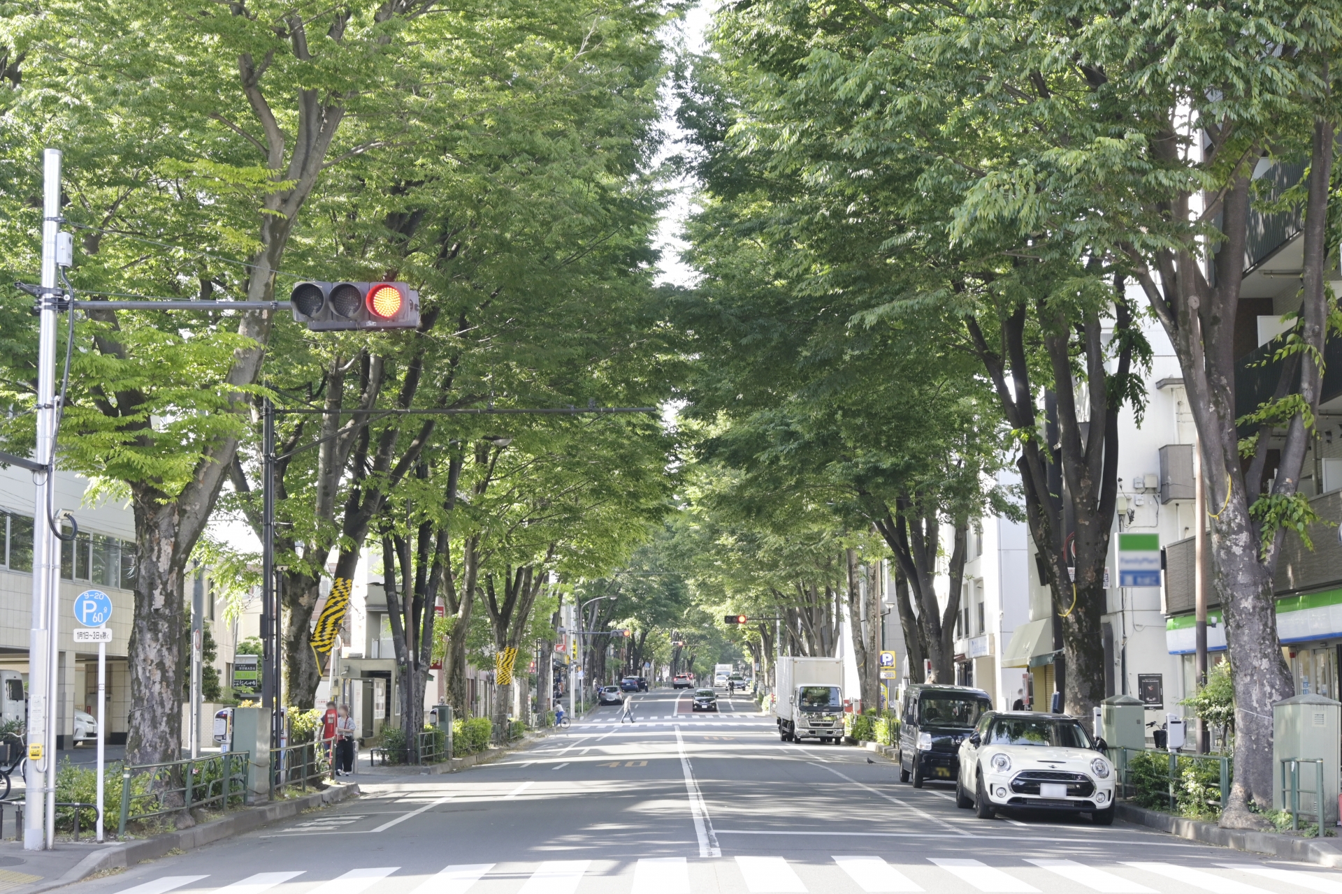 阿佐ヶ谷の並木道